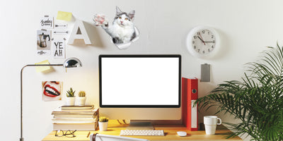 Reaching Maine Coon Cat Decals