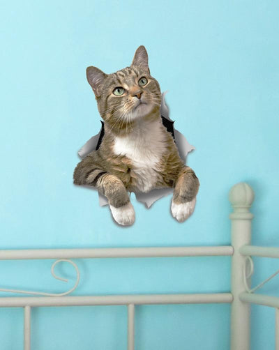 Pondering Tabby Decals