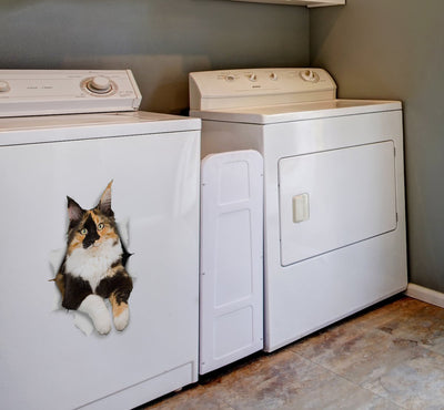 Calico Cat Decals