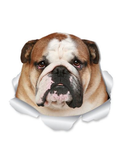 Funny Bulldog Decals