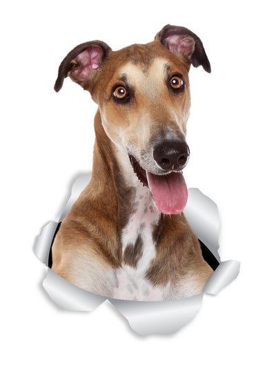 Happy Greyhound Decals
