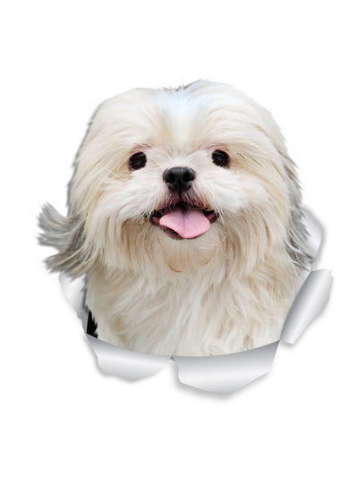 Bichon Frise Decals