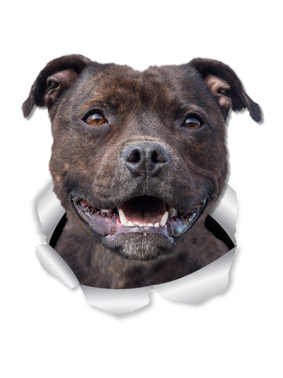 Happy Staffie Decals