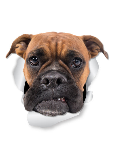 Grumpy Boxer Decals