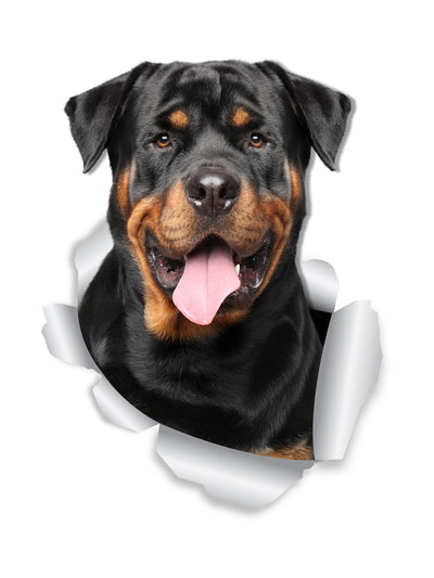 Smiling Rottweiler Decals