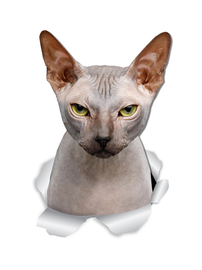 Grumpy Sphynx Cat Decals.