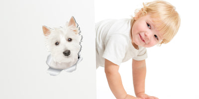 Cute Westie Decals