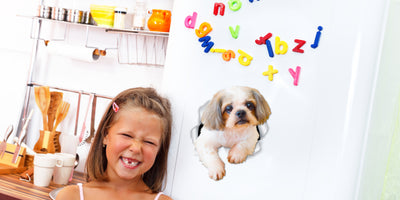 Curious Shih tzu Decals