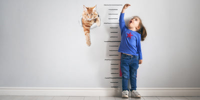 Climbing Ginger Decals