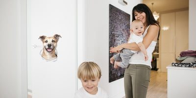 Smiling Staffie Decals