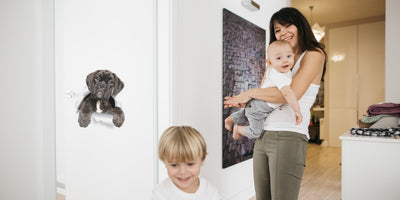 Adorable Boxer Dog Decals