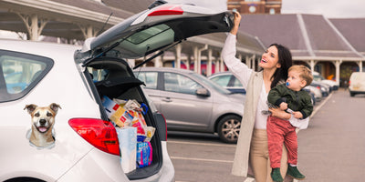 Smiling Staffie Decals