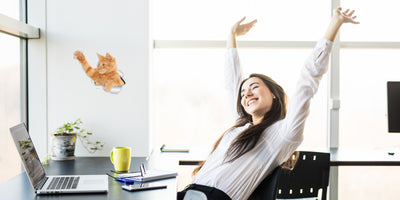 Playing Ginger Decals