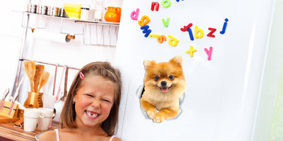 Cute Pomeranian Decals