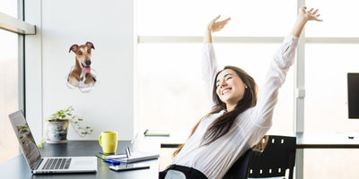 Happy Greyhound Decals