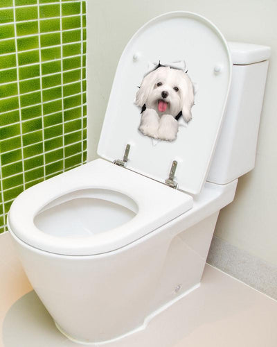 Cute Maltese Decals