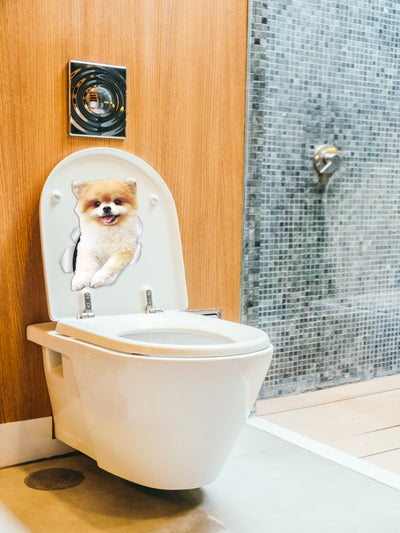Funny Pomeranian Decals