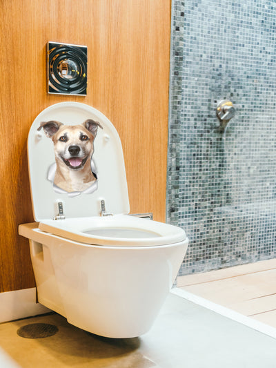 Smiling Staffie Decals