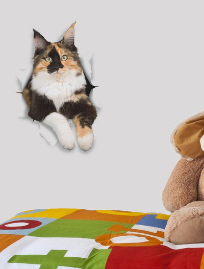 Calico Cat Decals