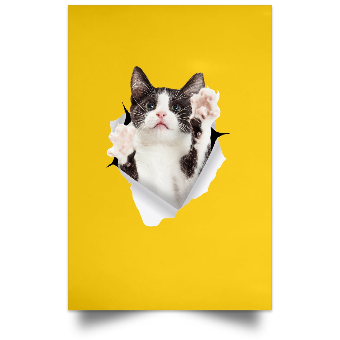 Black & White Cat Reaching - Athletic Gold POSPO Satin Portrait Poster