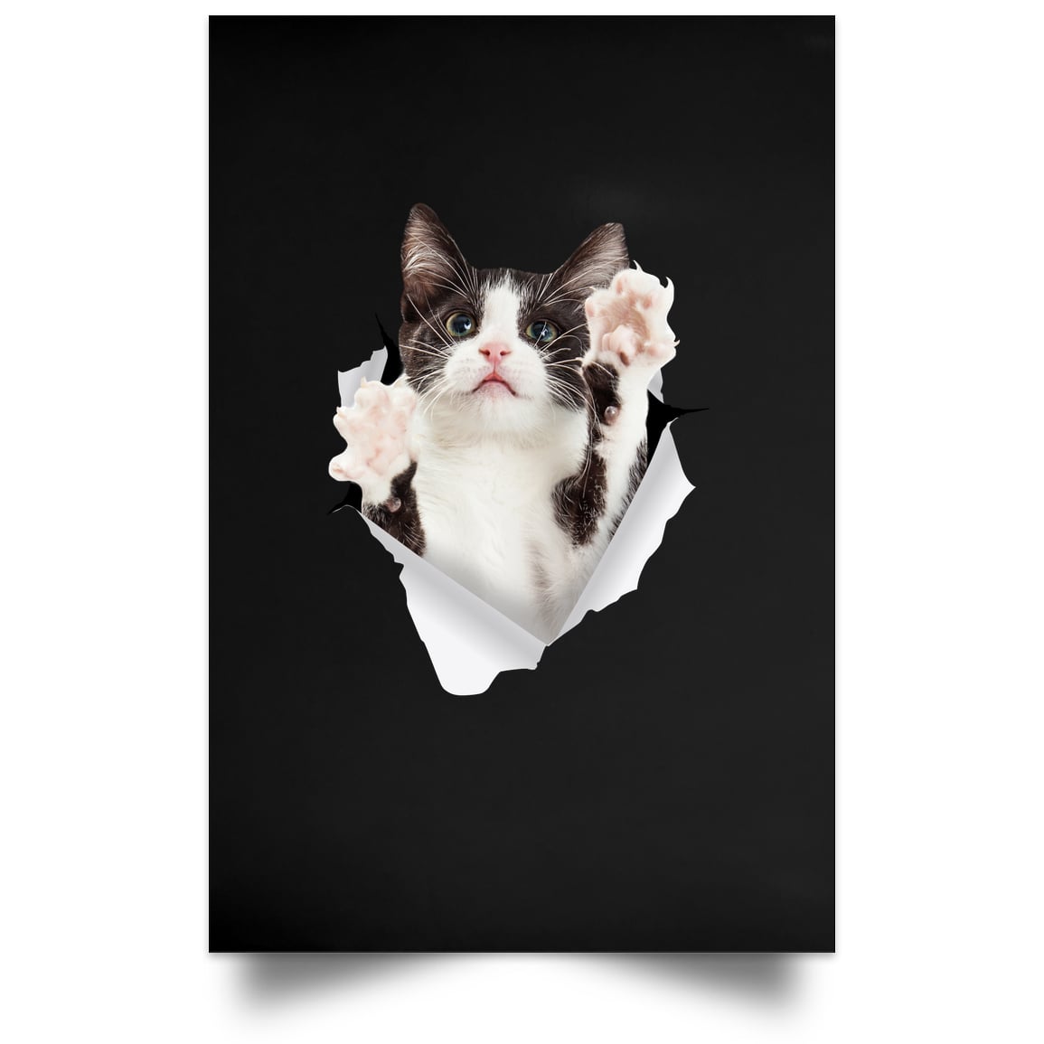 Black & White Cat Reaching - Black POSPO Satin Portrait Poster