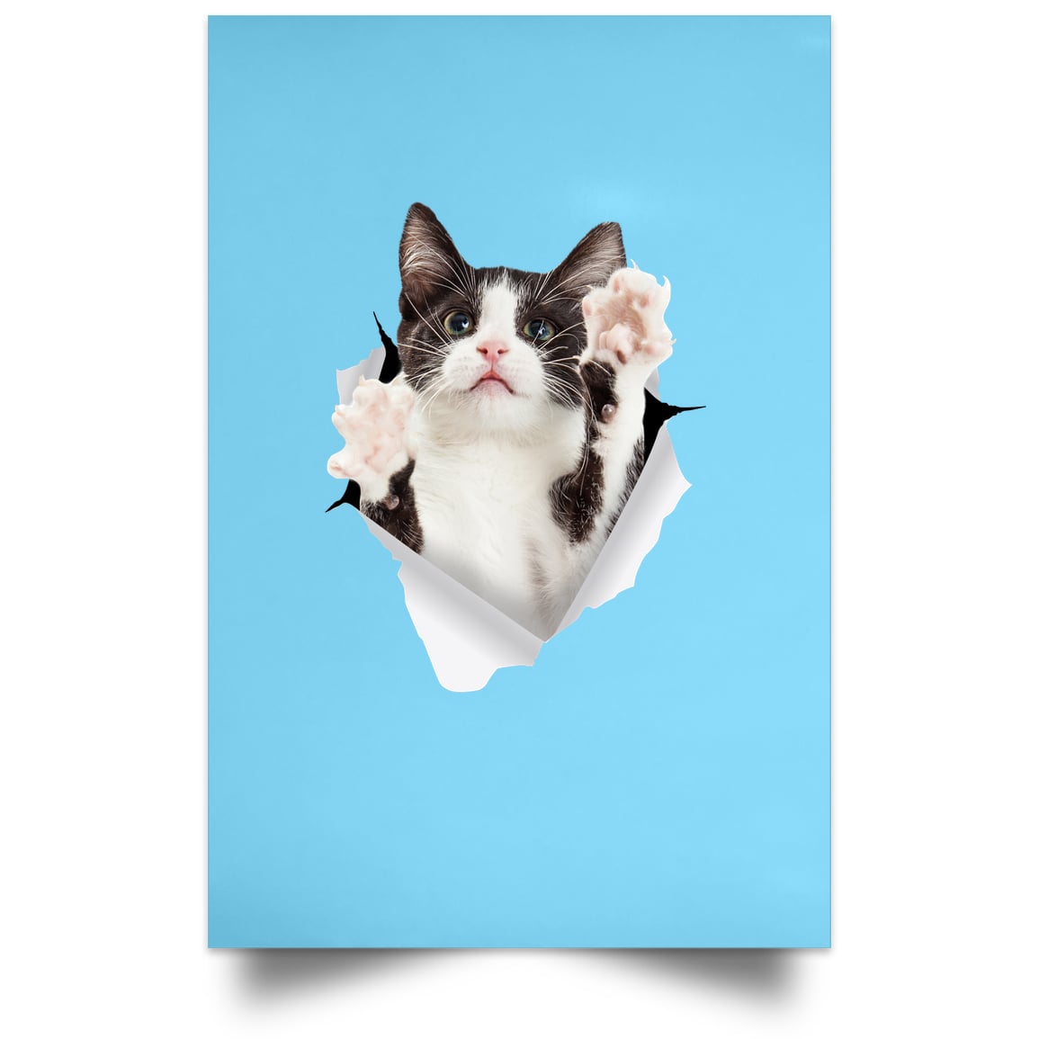 Black & White Cat Reaching - Columbia Blue POSPO Satin Portrait Poster
