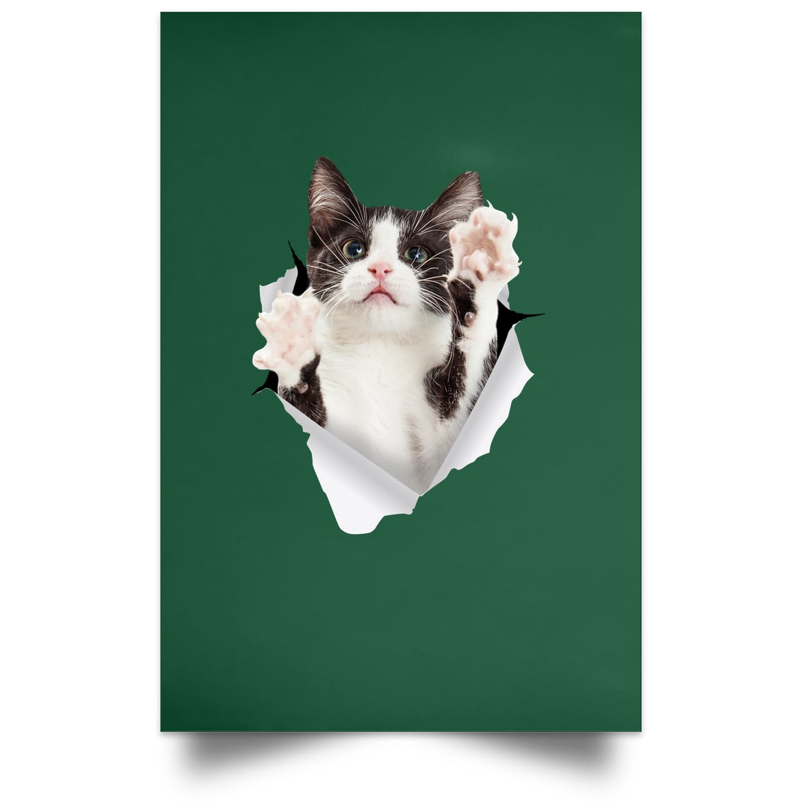 Black & White Cat Reaching - Forest POSPO Satin Portrait Poster