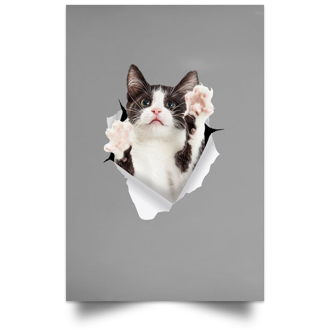 Black & White Cat Reaching - Grey POSPO Satin Portrait Poster