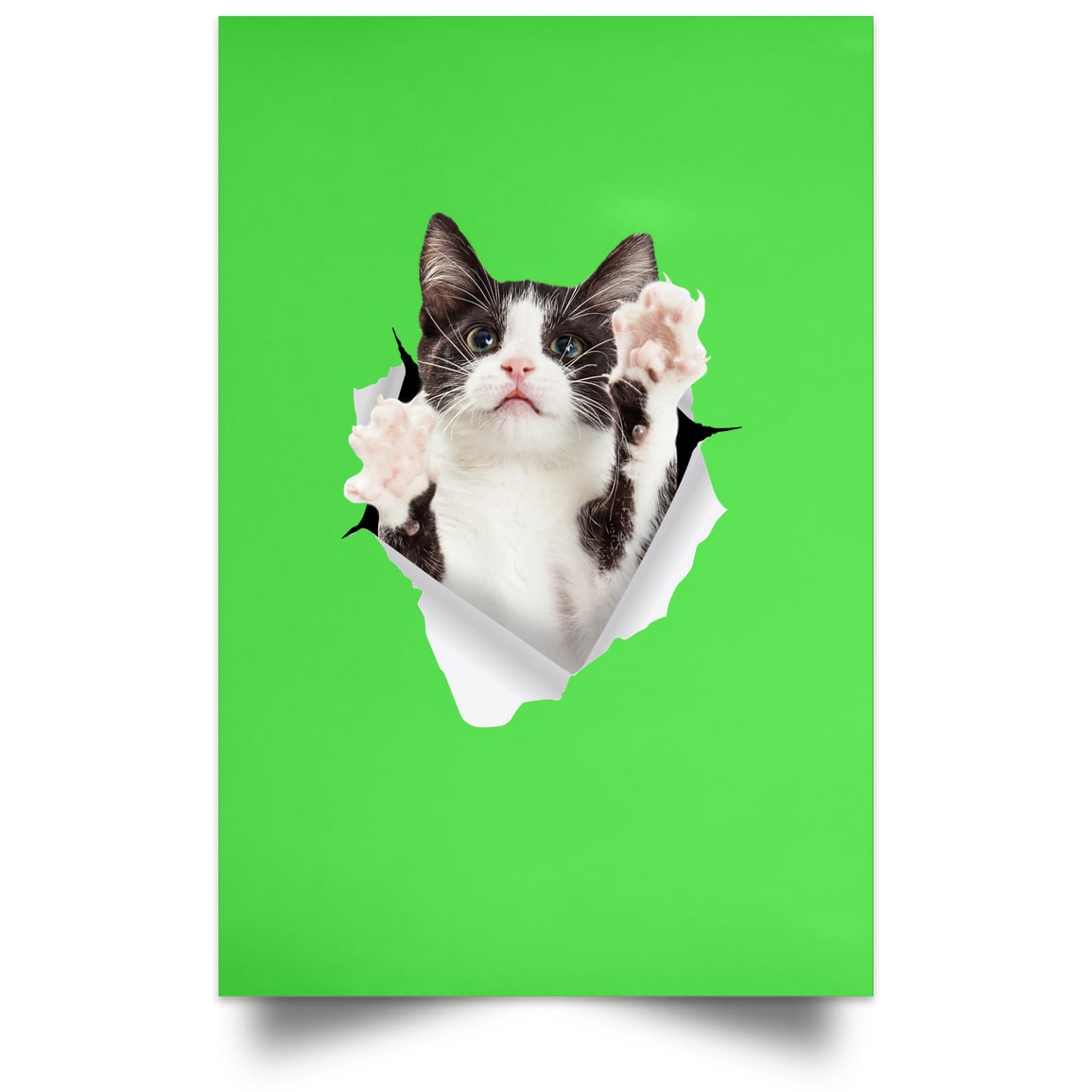 Black & White Cat Reaching - Kelly POSPO Satin Portrait Poster