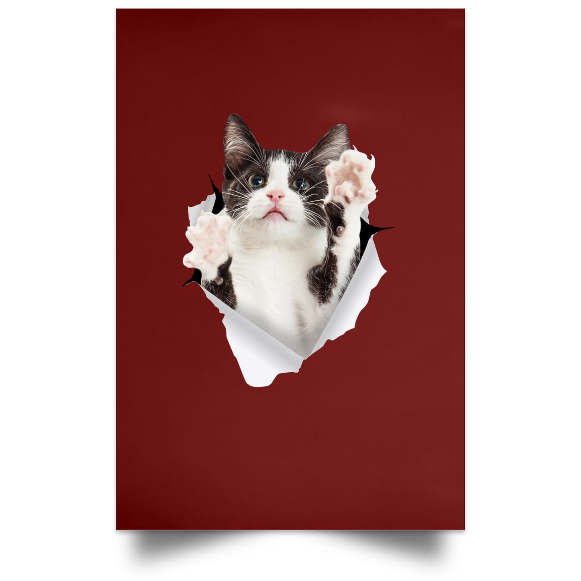 Black & White Cat Reaching - Maroon POSPO Satin Portrait Poster