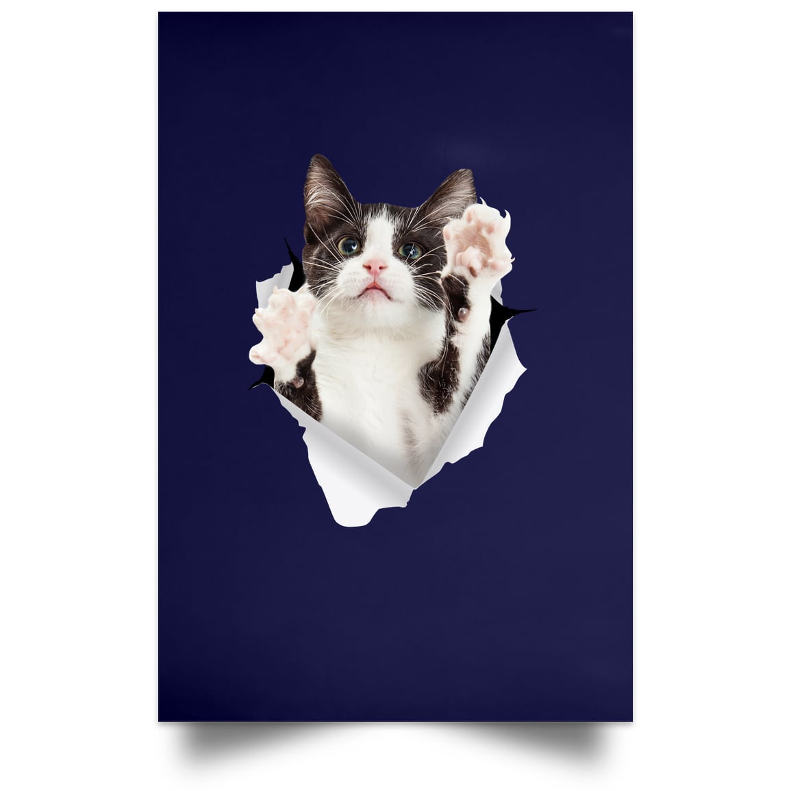 Black & White Cat Reaching - Navy POSPO Satin Portrait Poster