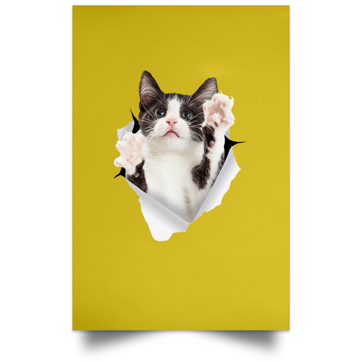Black & White Cat Reaching - Old Gold POSPO Satin Portrait Poster