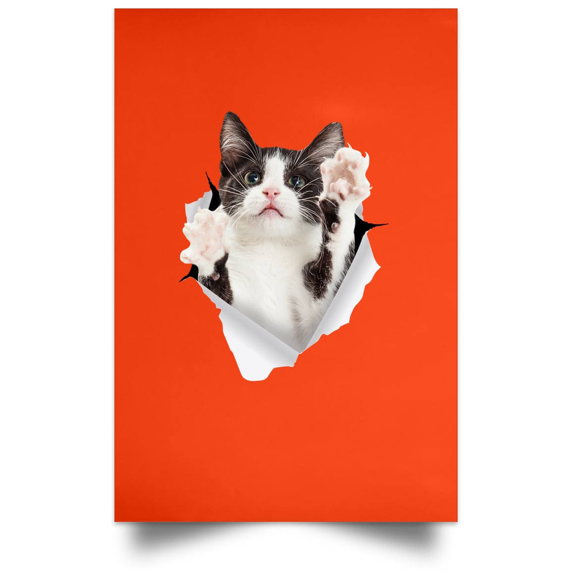 Black & White Cat Reaching - Orange POSPO Satin Portrait Poster