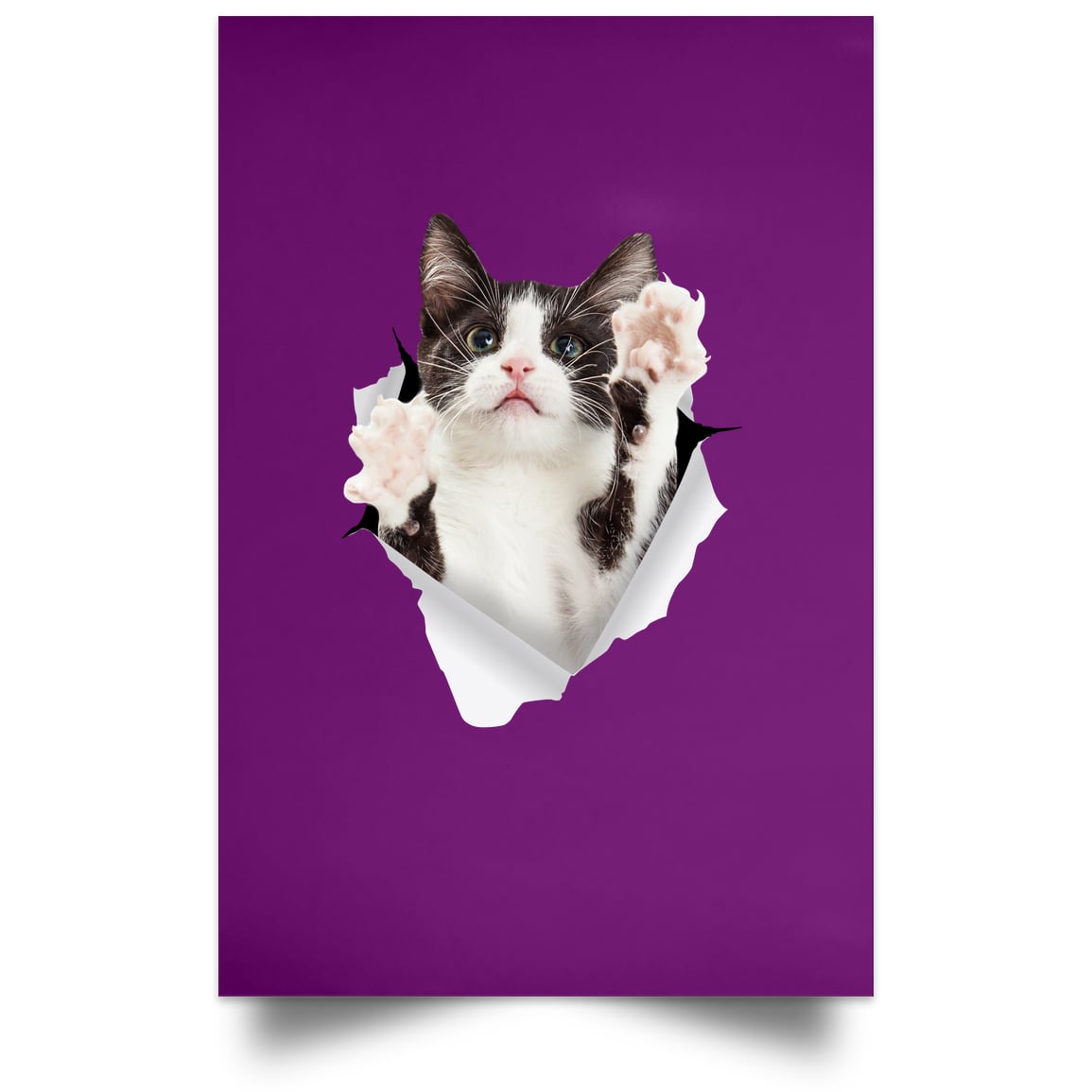 Black & White Cat Reaching - Purple POSPO Satin Portrait Poster