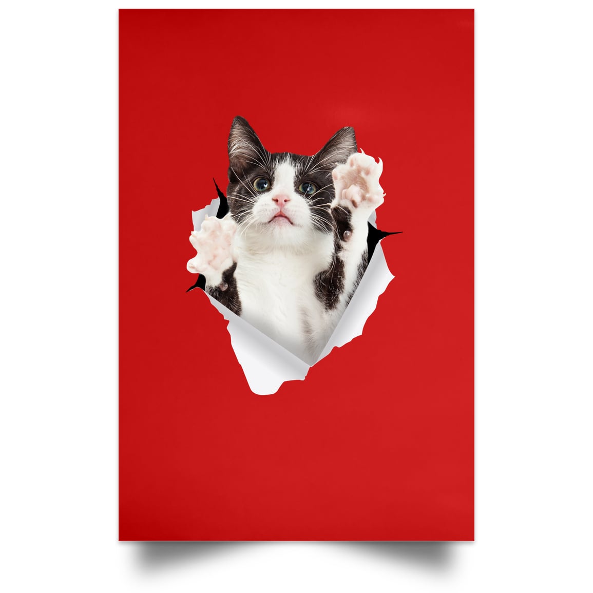 Black & White Cat Reaching - Red POSPO Satin Portrait Poster