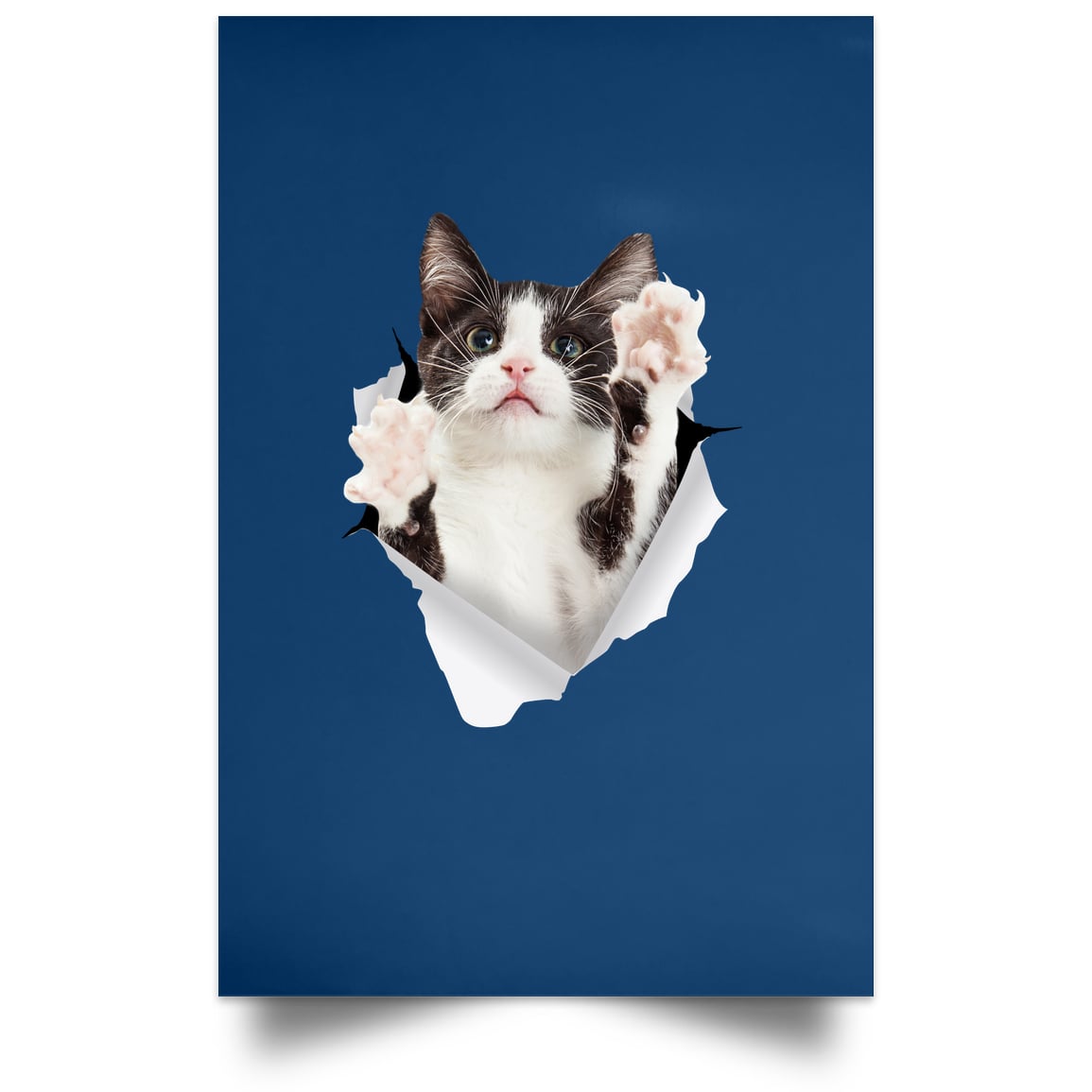 Black & White Cat Reaching - Royal POSPO Satin Portrait Poster