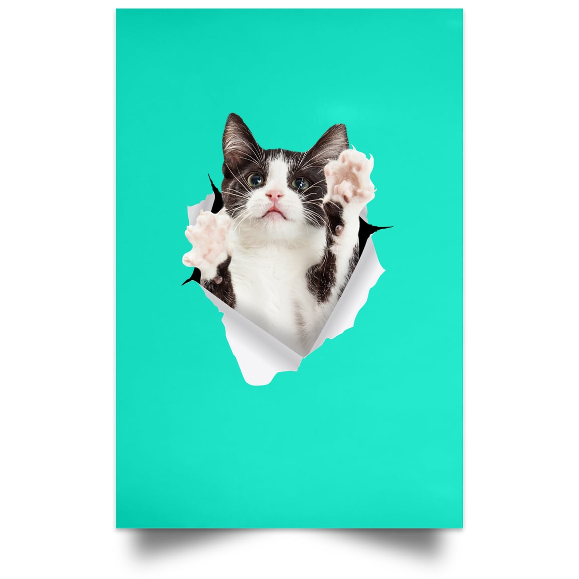 Black & White Cat Reaching - Teal POSPO Satin Portrait Poster