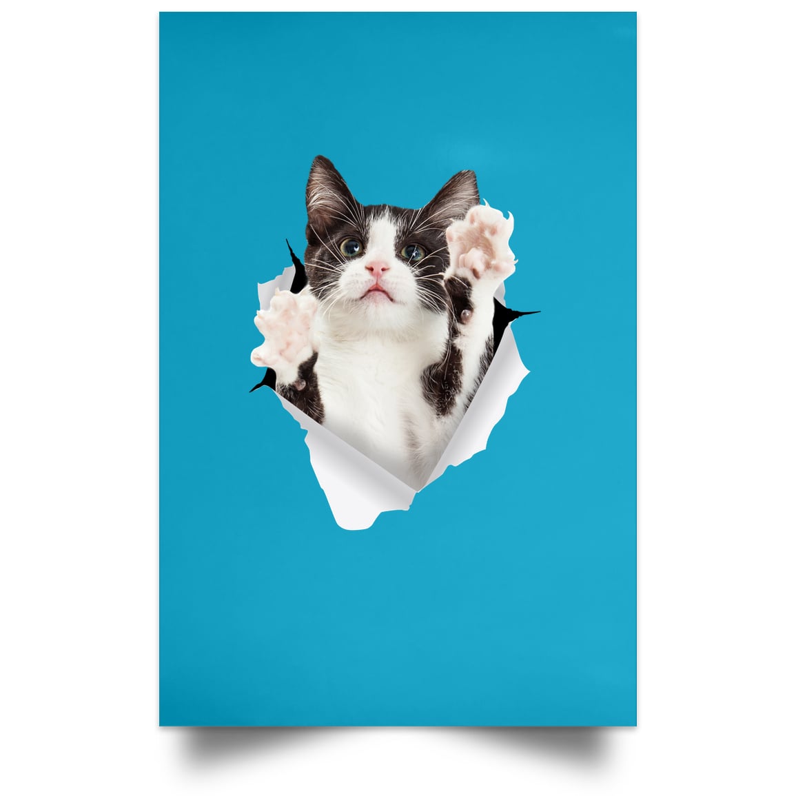 Black & White Cat Reaching - Turquoise POSPO Satin Portrait Poster