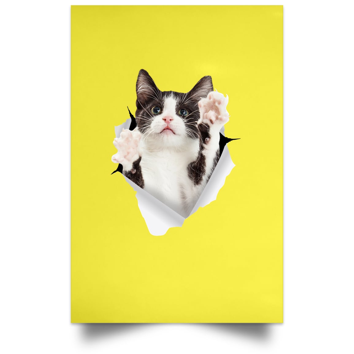Black & White Cat Reaching - Yellow POSPO Satin Portrait Poster