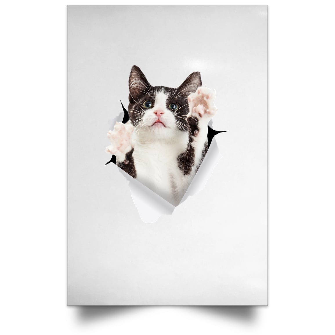 Black & White Cat Reaching - White POSPO Satin Portrait Poster