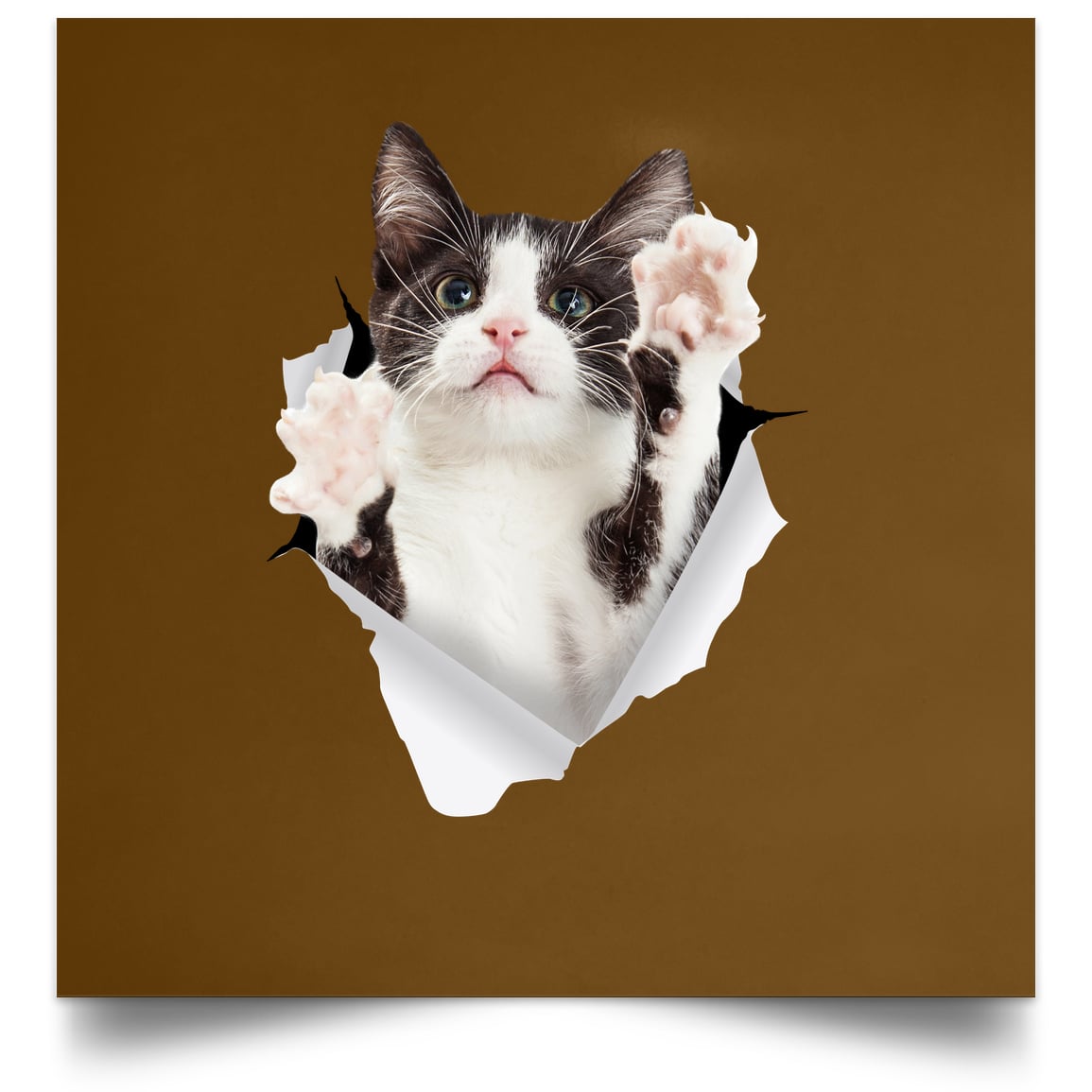 Black & White Cat Reaching - Brown POSSQE Satin Square Poster