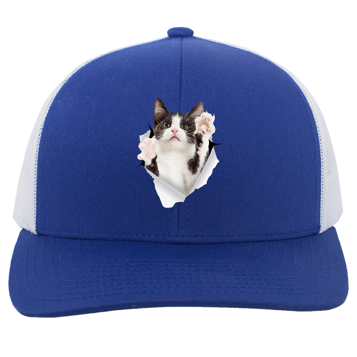 Black & White Cat Reaching - Royal/White 104C Trucker Snap Back