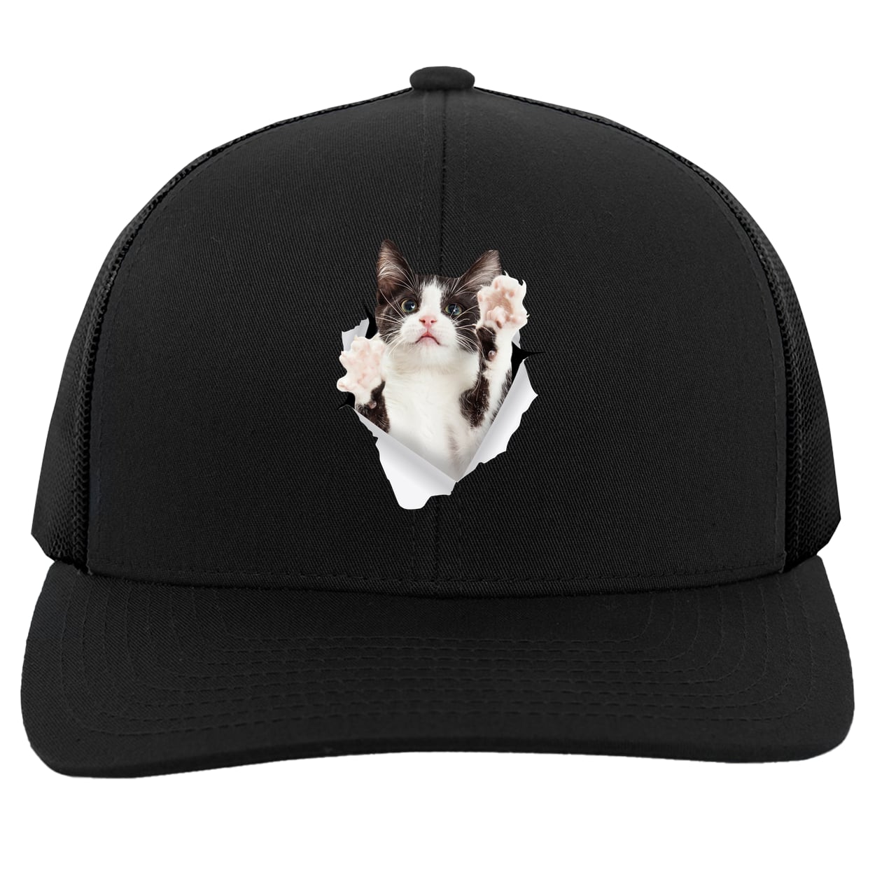 Black & White Cat Reaching - Black 104C Trucker Snap Back