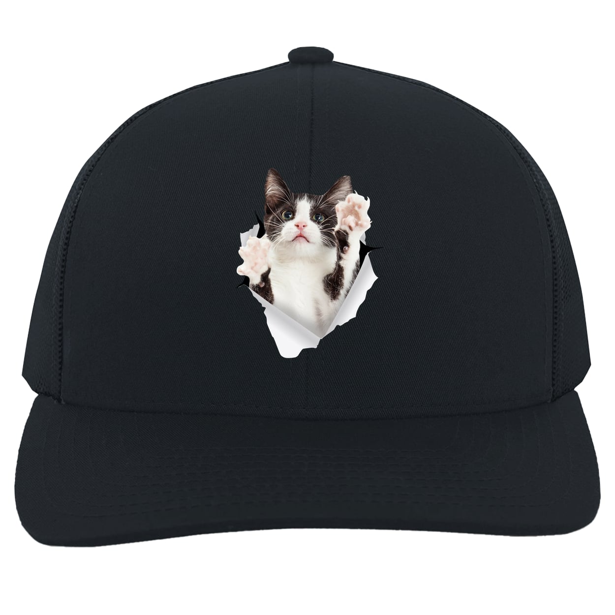 Black & White Cat Reaching - Navy 104C Trucker Snap Back