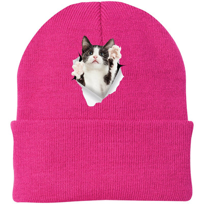 Black & White Cat Reaching - Neon Pink CP90 Port & Company Knit Beanie