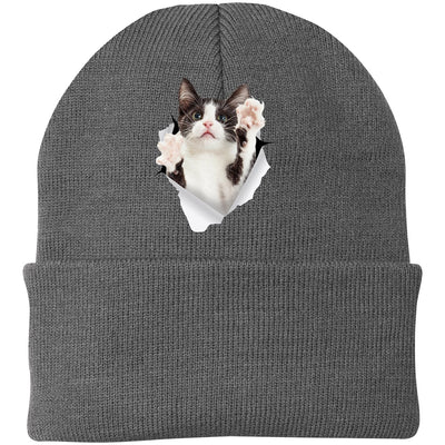 Black & White Cat Reaching - Athletic Oxford CP90 Port & Company Knit Beanie