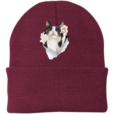 Black & White Cat Reaching - Maroon CP90 Port & Company Knit Beanie