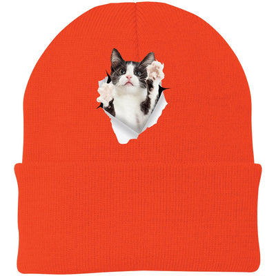 Black & White Cat Reaching - Athletic Orange CP90 Port & Company Knit Beanie