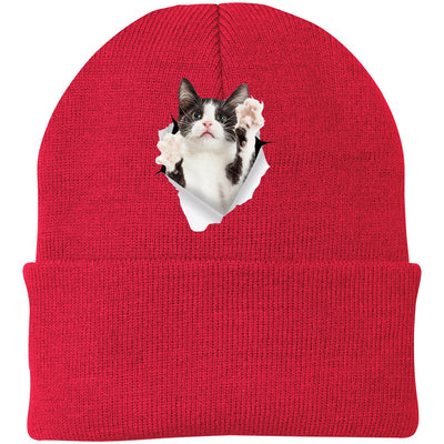 Black & White Cat Reaching - Athletic Red CP90 Port & Company Knit Beanie