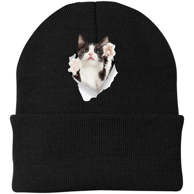 Black & White Cat Reaching - Black CP90 Port & Company Knit Beanie